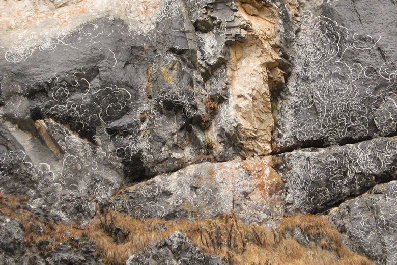 Muster auf einem Felsen am Huvsgul nuur